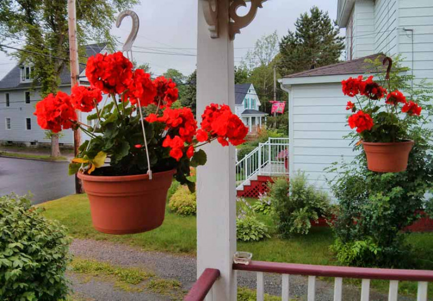 front-deck-view